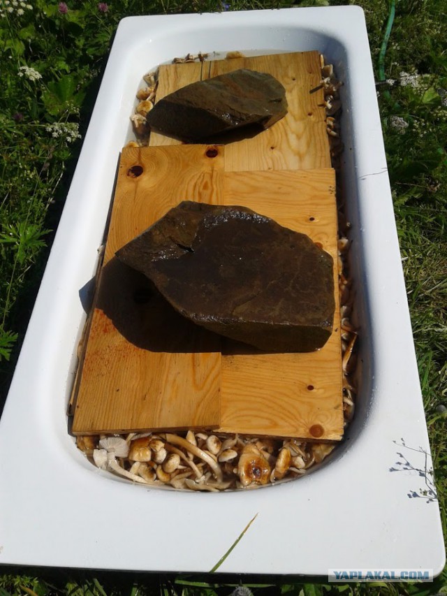 Закуска к водочке по-камчатски