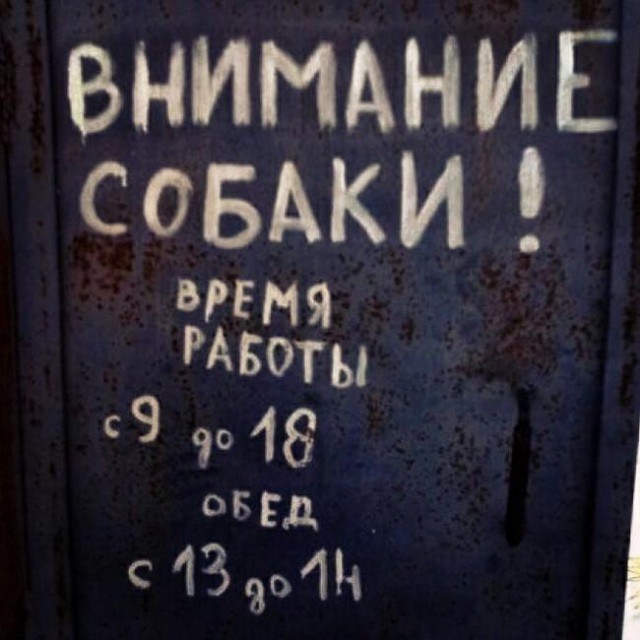 Дивный мир объявлений в подъездах