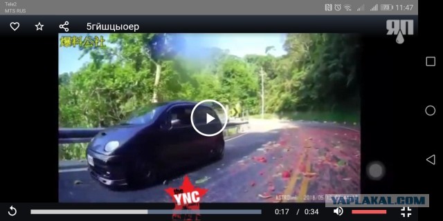 Кровь, кишки и всё разбрызгало