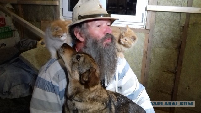 Девять причин, почему вам срочно надо завести кота