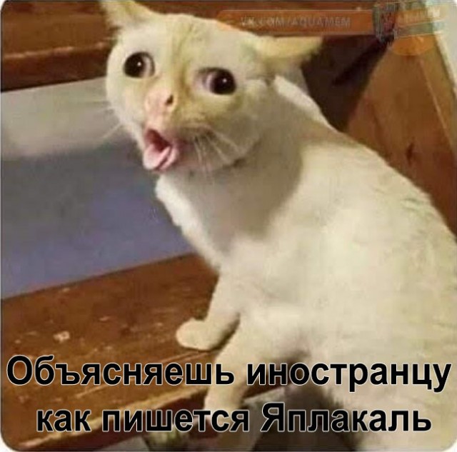 Картинки с юмором о Япе!