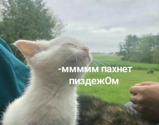 Большое выступление Путина по ситуации с коронавирусом. Прямая трансляция