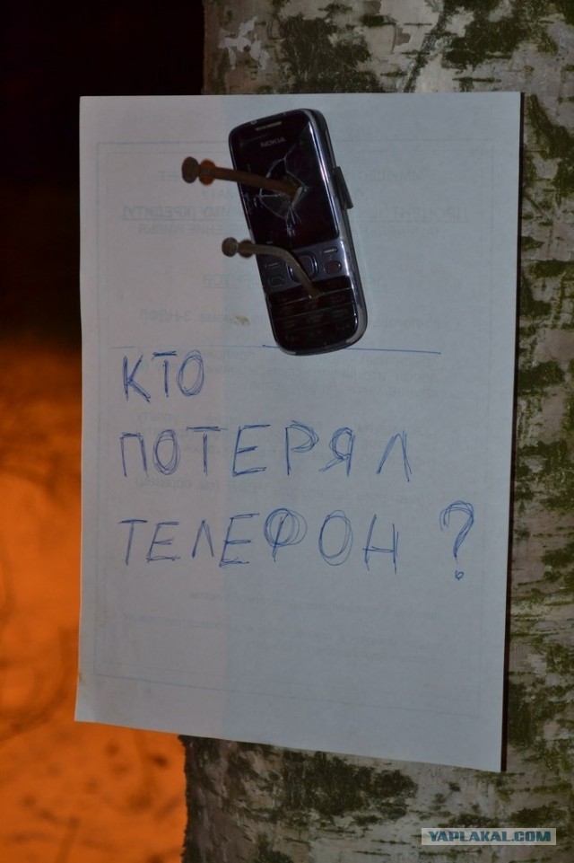 Победитель номинации жопорук