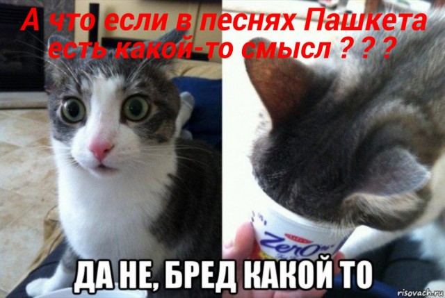 Паша, я не со зла