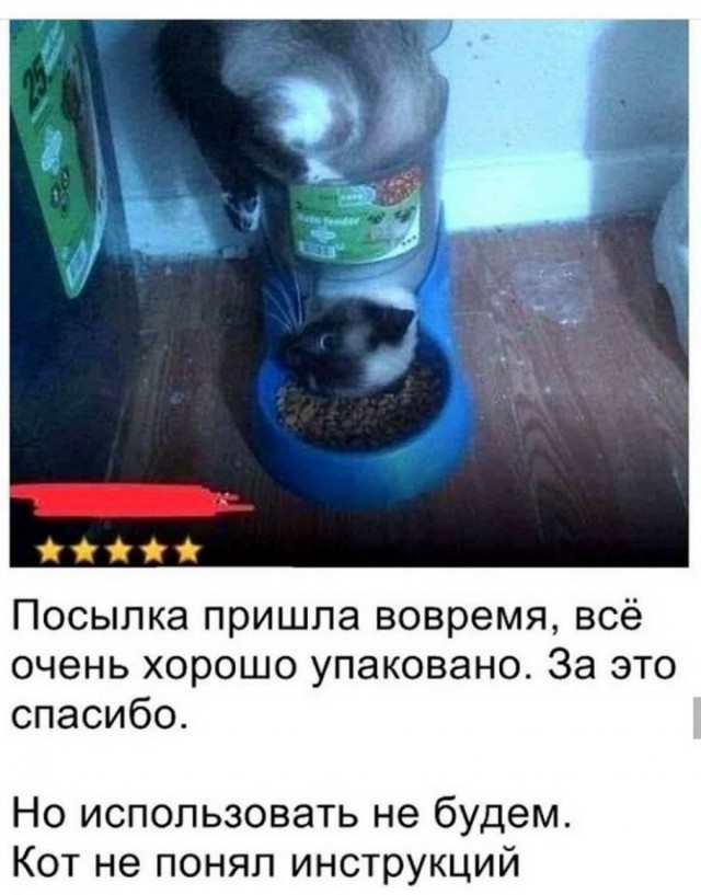 Картинки разнообразные. На злобу дня и на доброту (27.08)