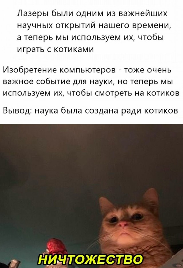 Бредзона 03.11.2020
