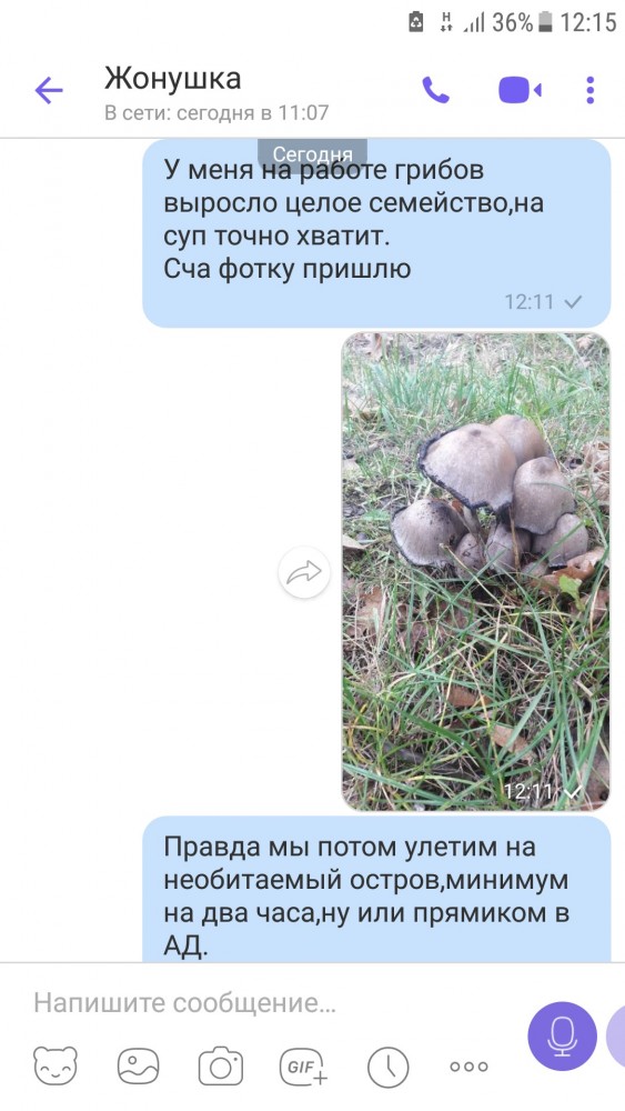 Юмор в картинках 16.11.20