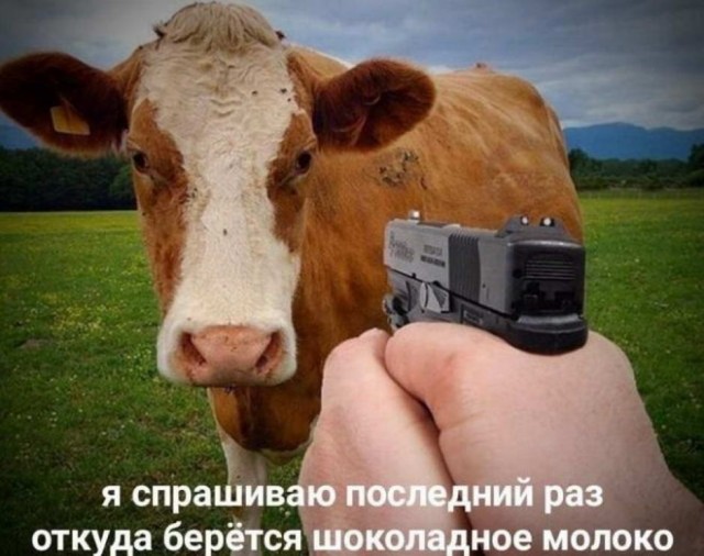 Картинки и мемы для настроения 010