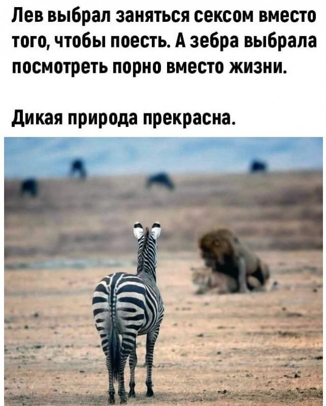 Бредзона 15.12.20