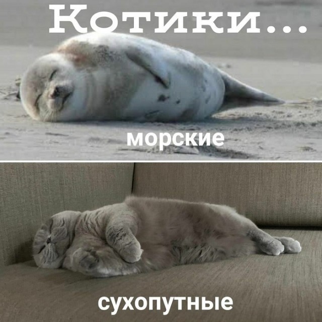 Картинки с надписями и всякие жизненные фразы 27.04.21