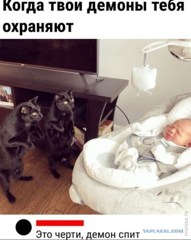 Баянисто-небаянистый юмор 19.05.21