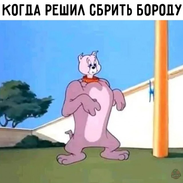 Картинки и мемы для настроения 12.08.2021