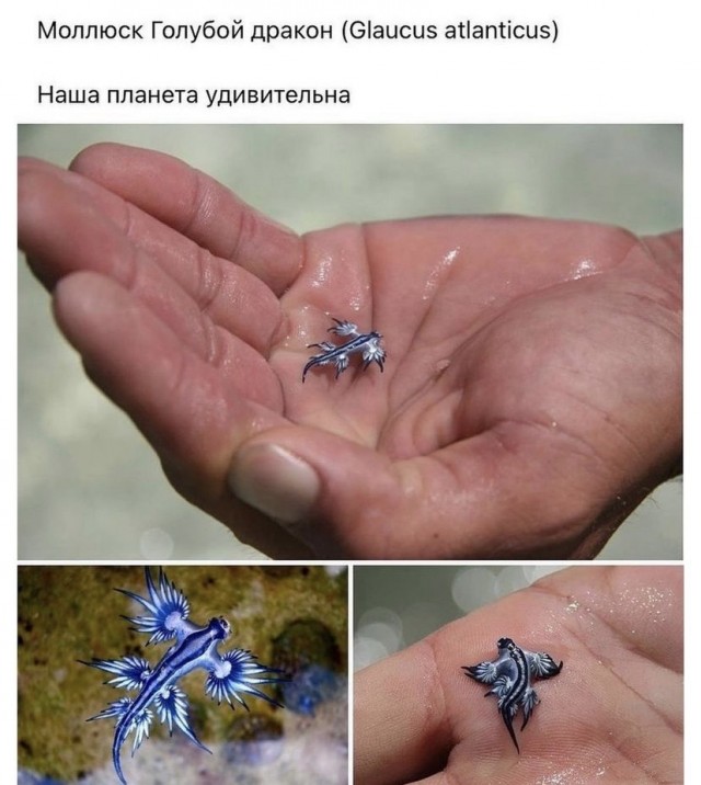 Весёлый полтишок 05.11