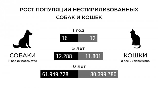 Мама просит помощи