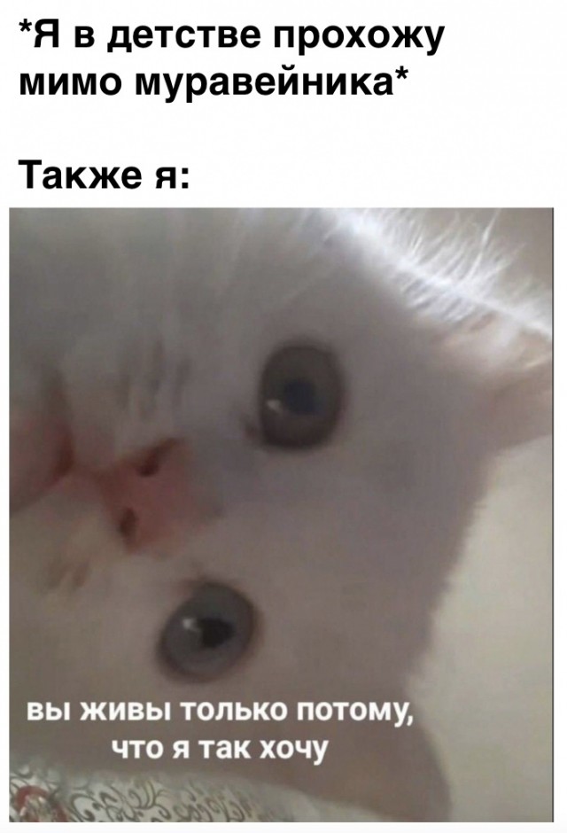 А что, если начать деградировать уже с понедельника...