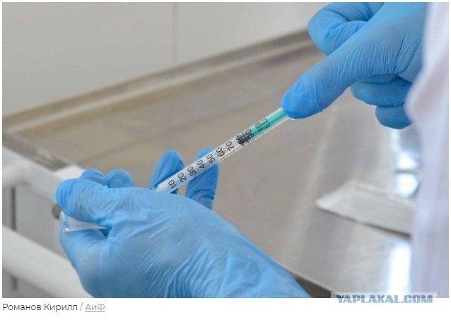 Пермский край решил не проводить испытания вакцины от COVID на детях