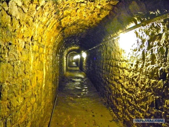 Мы и Тыгра. S.T.A.L.K.E.R.ы, через 12 стран
