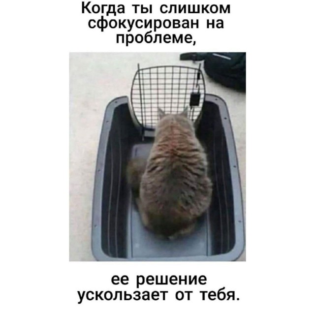 Пандемия. Коронавирус и съехавшие крыши. Россия и мир. Часть 32.