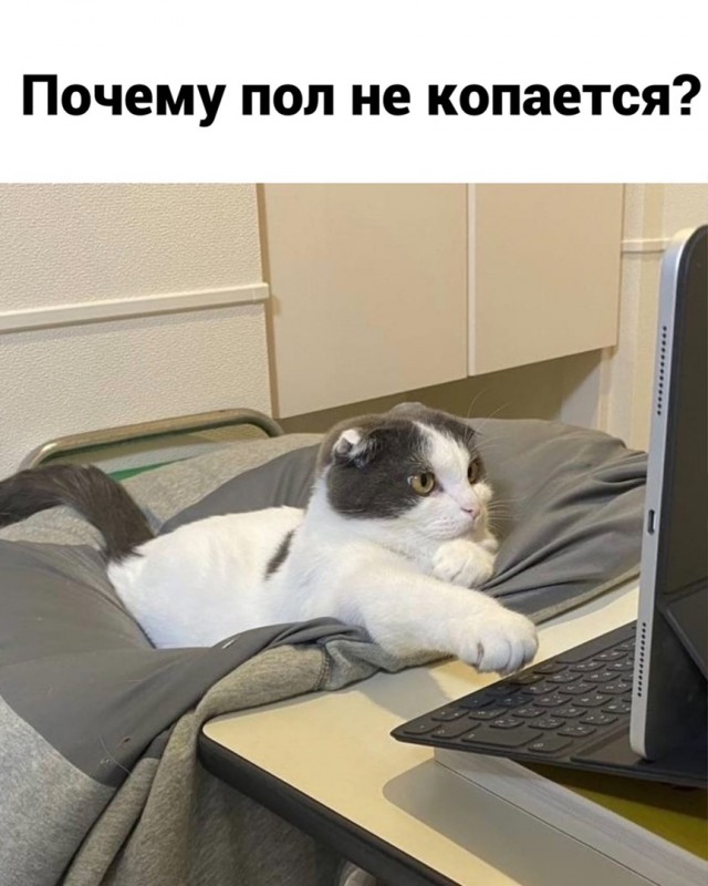 Так себе картинки 15.04.22