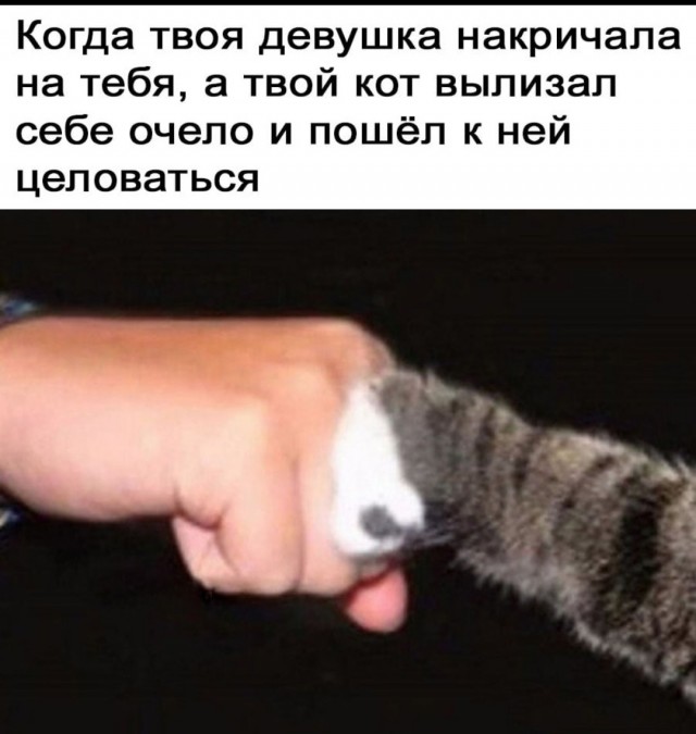 Чёрно-пошлая деградация на вторник