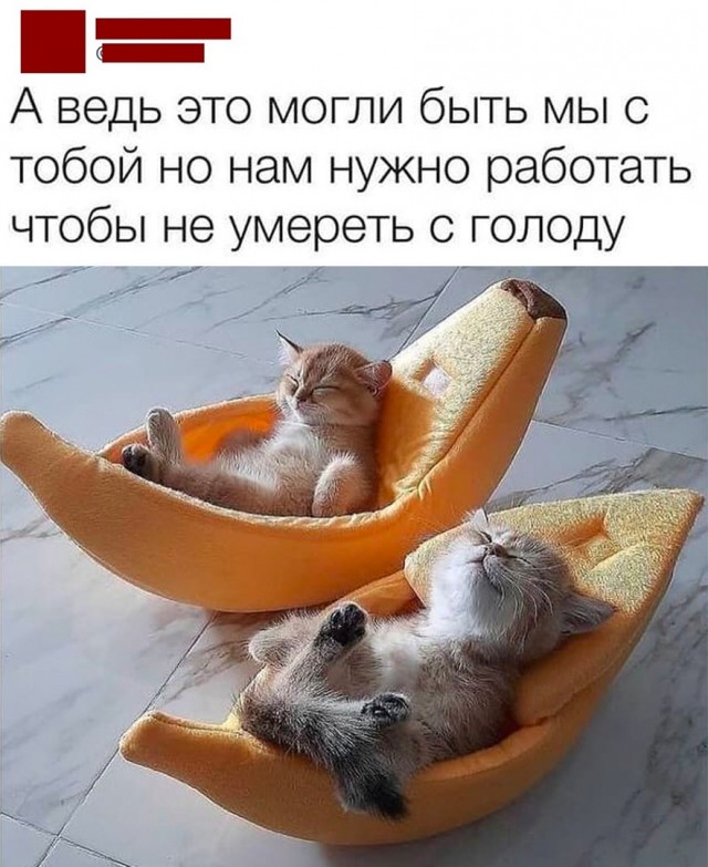 Так себе картинки 29.04.22