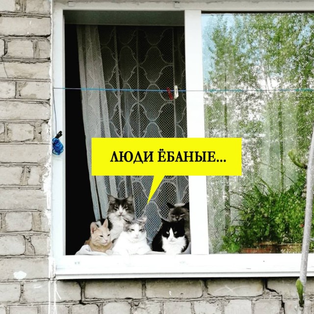 Картинки аморальные и всякие разные - 30