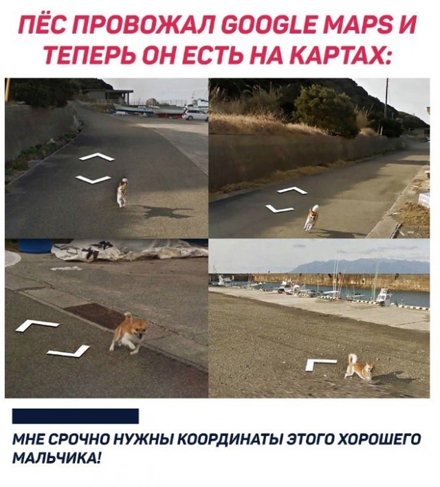 Так себе картинки 02.06.22