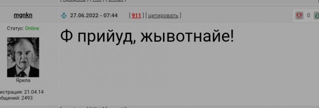 Голландцы начали выселять украинских беженцев из своих домов из-за отпусков