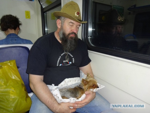 Гарик, Гарик, Игорёк