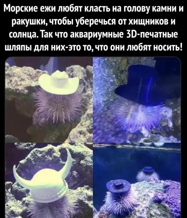 Картинки и мемы для настроения - 17