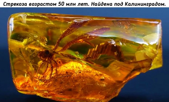 Картинки разные