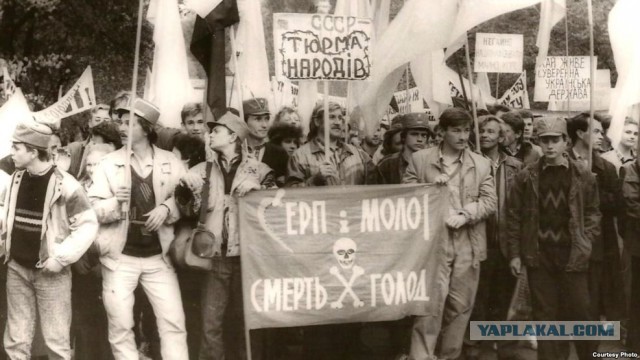 Мужик дело говорит
