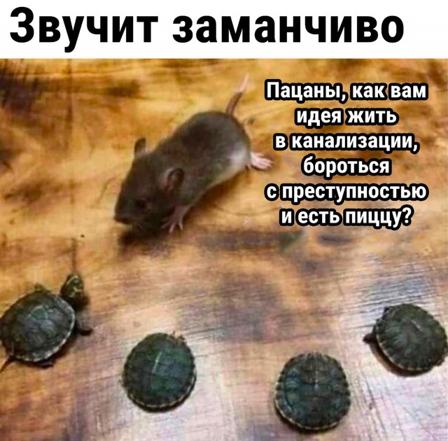 Так себе картинки 05.10.22