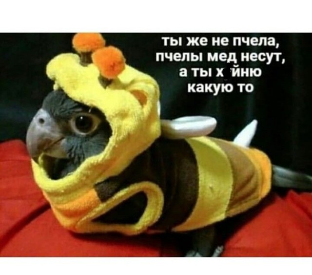 Картинки со смыслом и всякие жизненные фразы