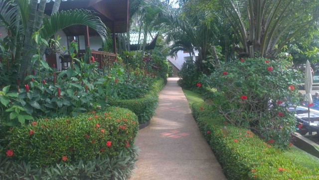 Краткий отзыв об отдыхе в Тайланде.