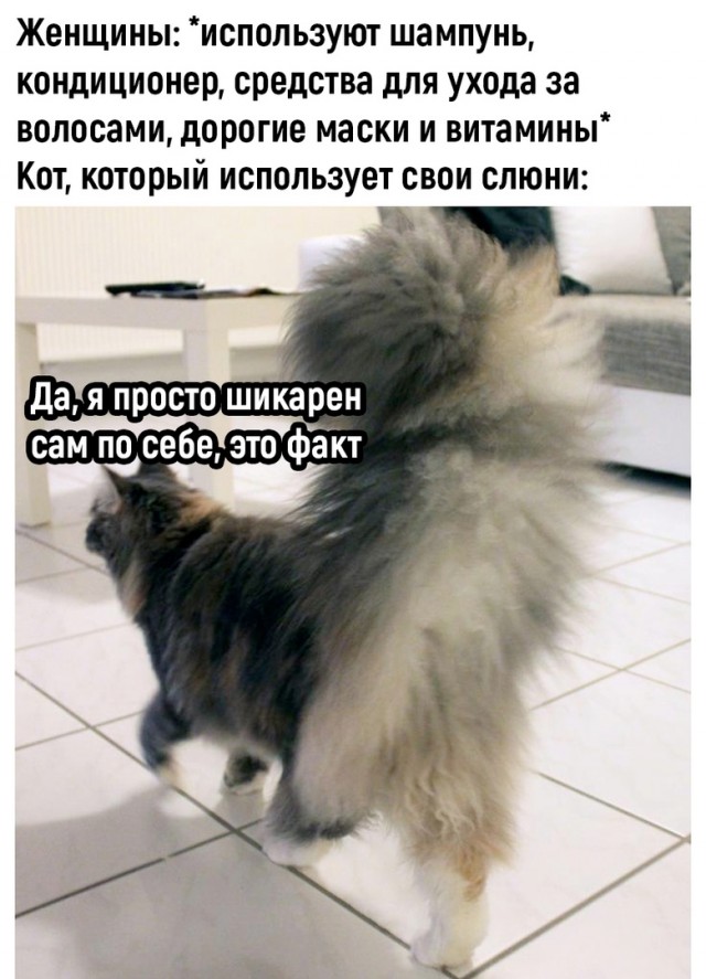 Так себе картинки 07.11.22