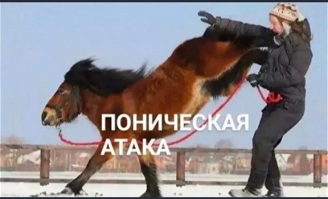 Ответочка