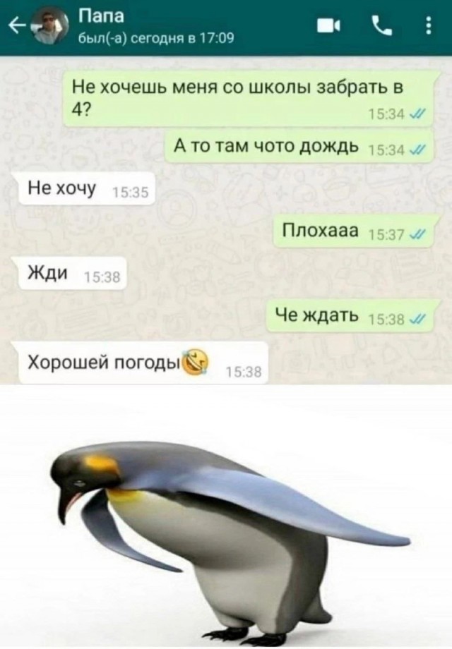 Картинки весёлые, вроде