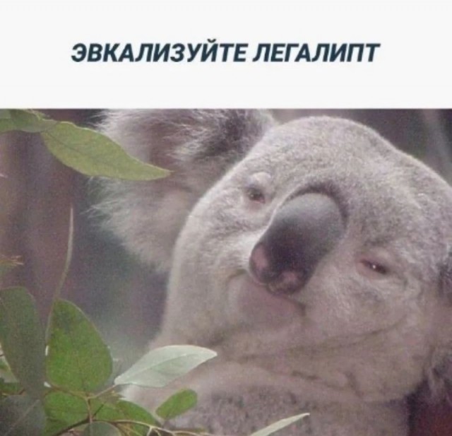 Прикольные и просто красивые картинки 16.06.2023