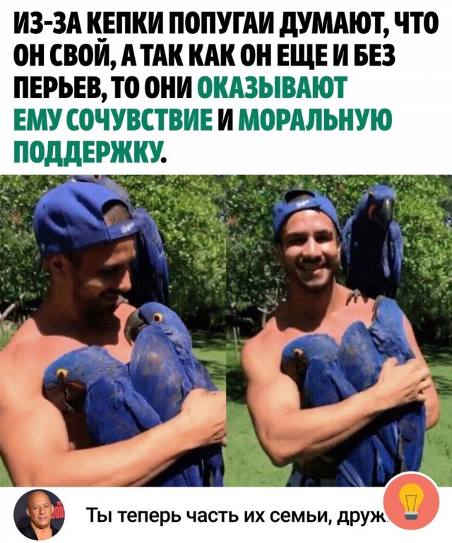 Так себе картинки 23.06.23