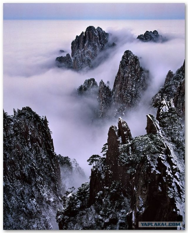 Фотограф Leping Zha