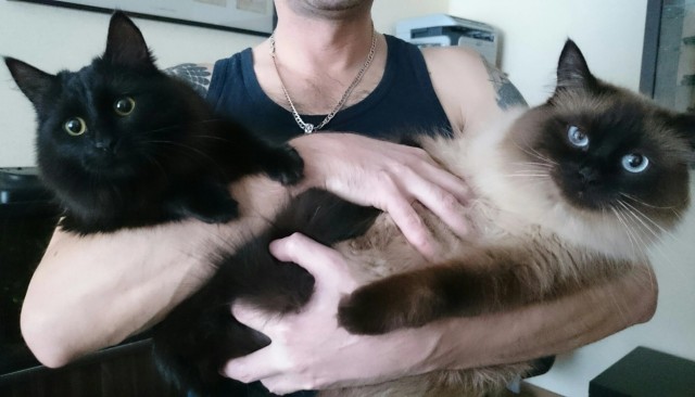 Котомемы 29.09.23