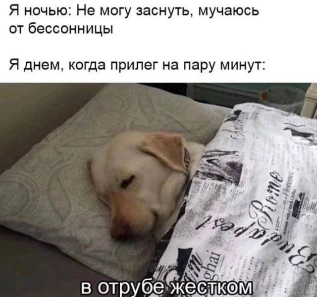 Отряд быстрого деградирования