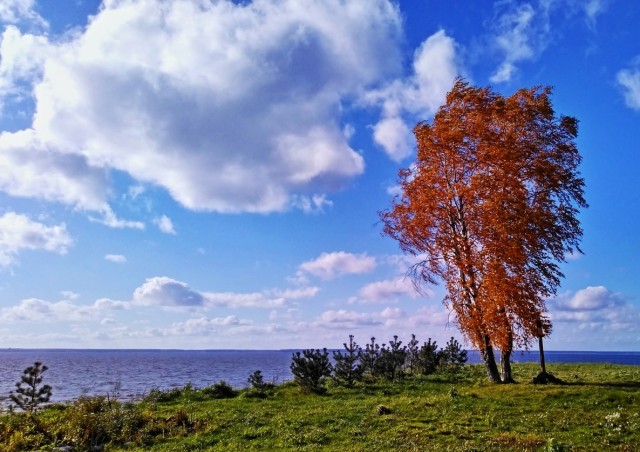 Красивые фото ЯПа