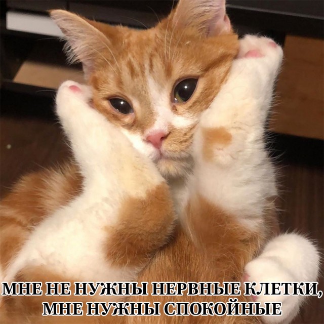 Немного картинок и прочей хреноты Vol. 27