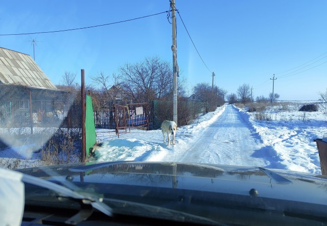 Банда подросла