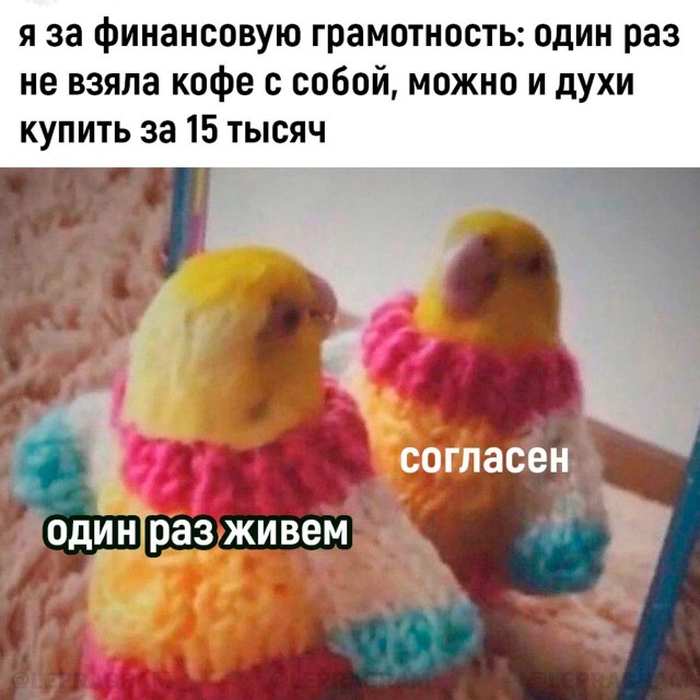 Весёлый полтишок 13.03.24