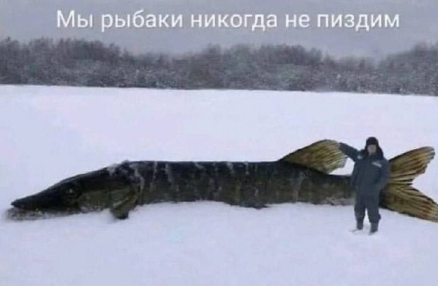 Всего понемногу. От 07.04.2024