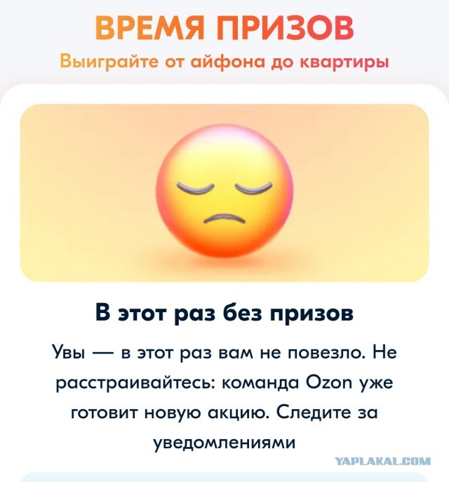 Ozoн, призы