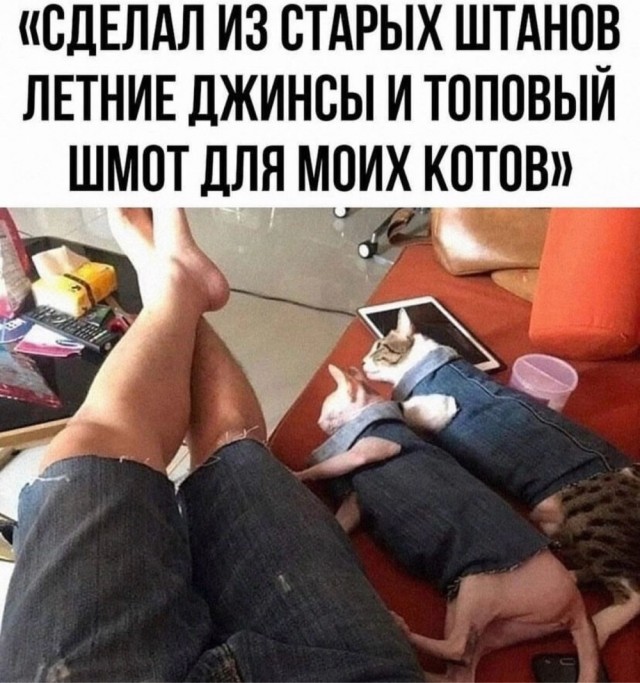 Чуток картинок